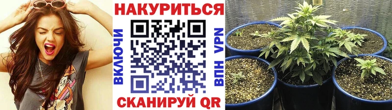 Псилоцибиновые грибы Валуйки