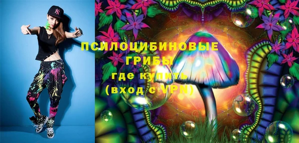 стаф Белокуриха