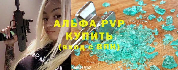 стаф Белокуриха